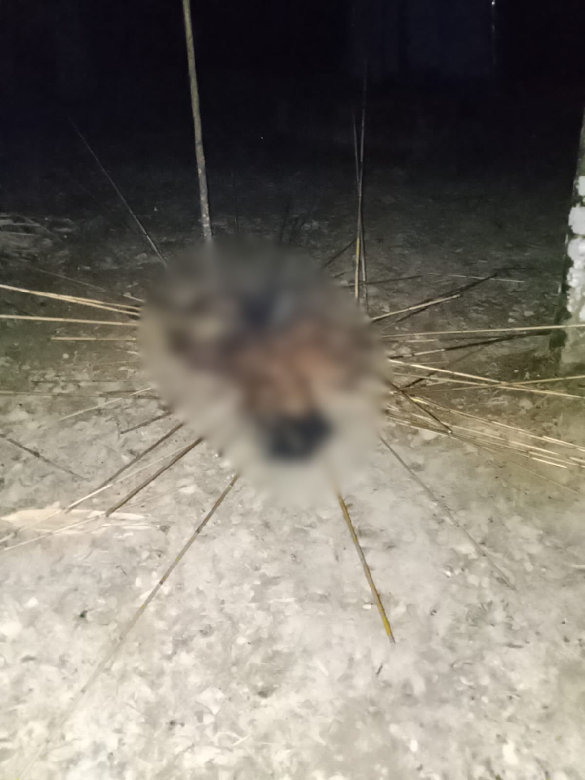 Pembunuhan di Kwamki Narama, Polisi Memburu Pelaku Utama