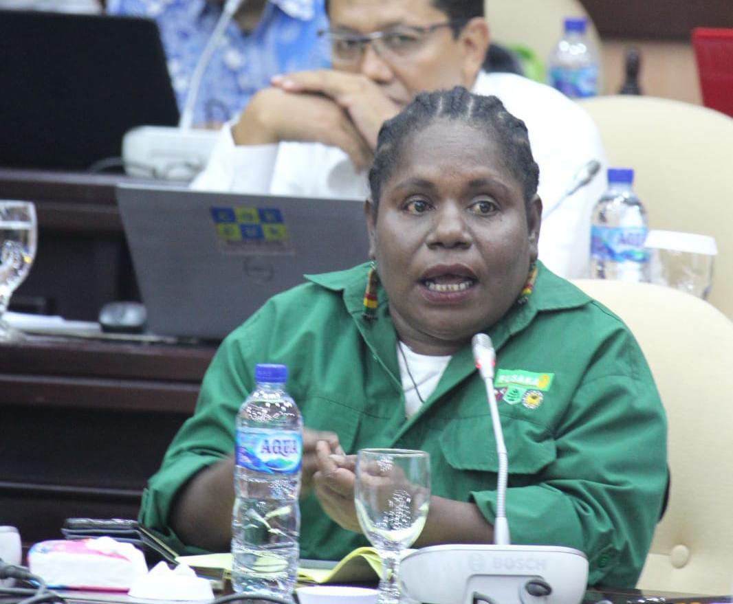 Soal Pengumpulan KTP dan Kartu Keluarga, Aktivis Peduli Masyarakat Mimika : Itu Praktek Pelanggaran Pilkada yang Sangat Serius