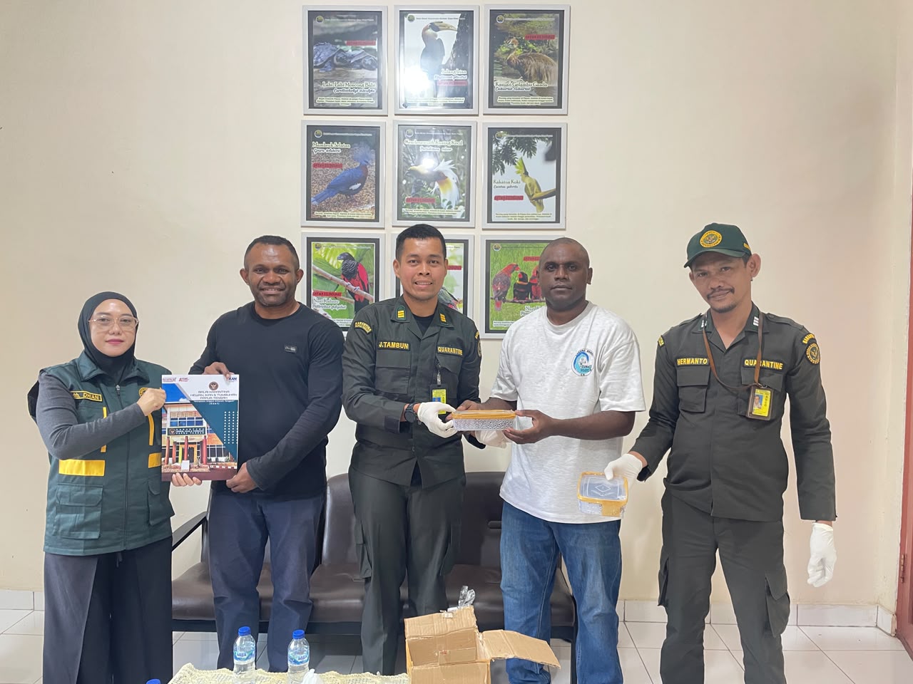 Pengawasan Kargo, Karantina Papua Tengah Gagalkan Pengiriman Tiga Ekor Death Adder