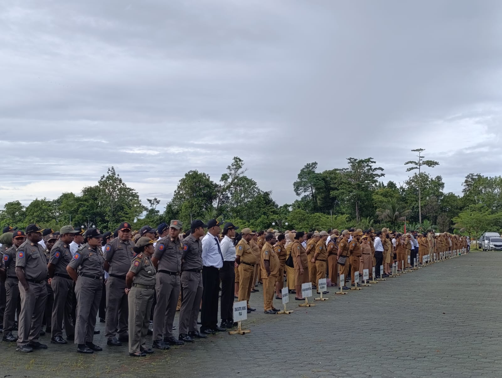 Pemerintah Kabupaten Mimika Perpanjang Pendaftaran Seleksi Jabatan Tinggi Pratama