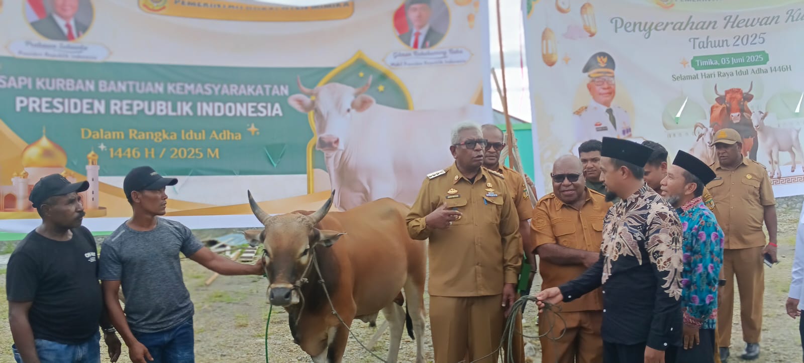 Pemkab Mimika Serahkan 45 Ekor Sapi Kurban untuk Idul Adha 1446 H