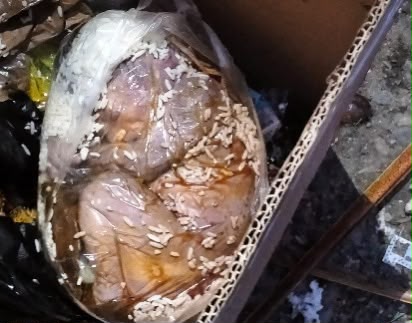 Polres Mimika Selidiki Temuan Jenazah Bayi di Tempat Sampah, Agendakan Uji DNA