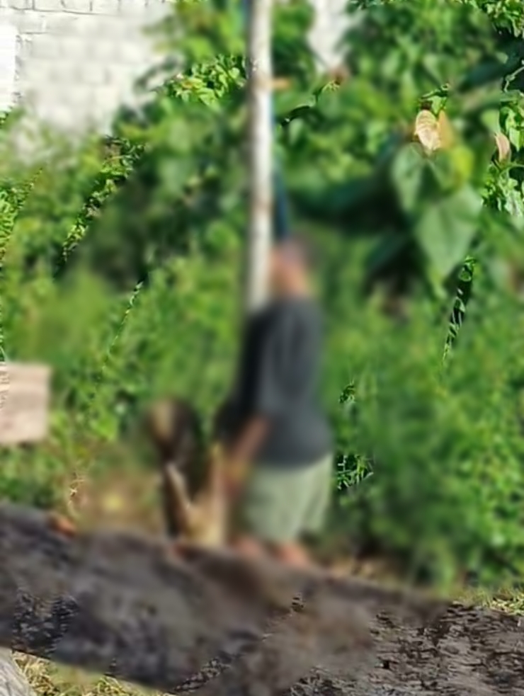 Polres Mimika Selidiki Penemuan Perempuan Yang  Gantung diri di Pohon