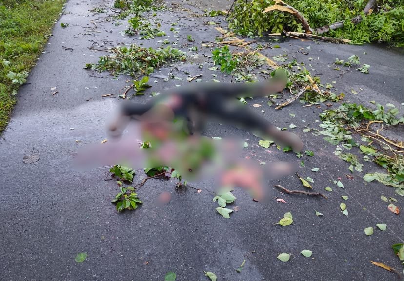Kecelakaan Hebat di Jalan Menuju Logpon, Seorang Pria Tewas