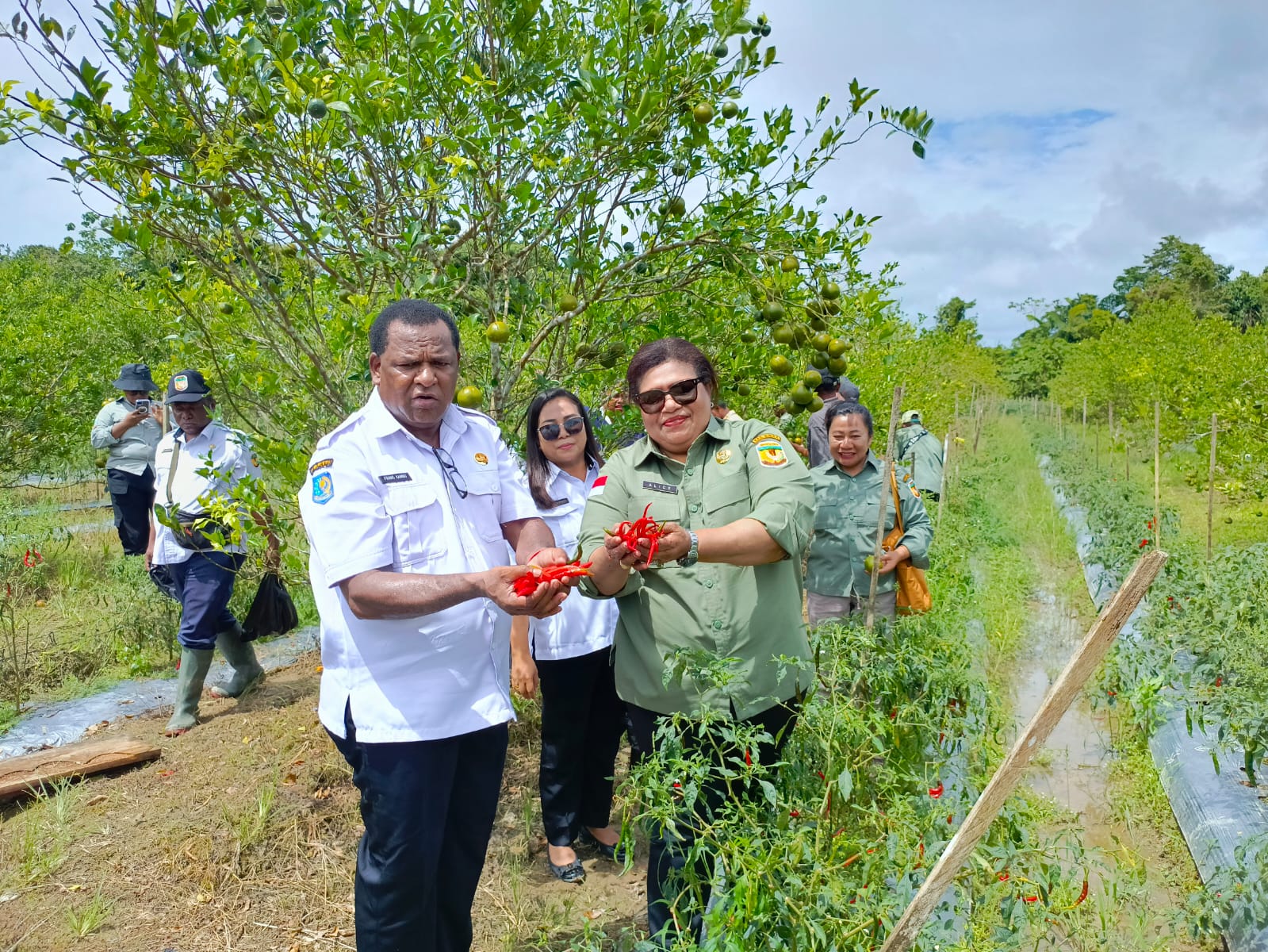 Peringatan Hari Tani Nasional ke-62: Momen Kebangkitan dan Dukungan untuk Petani di Mimika