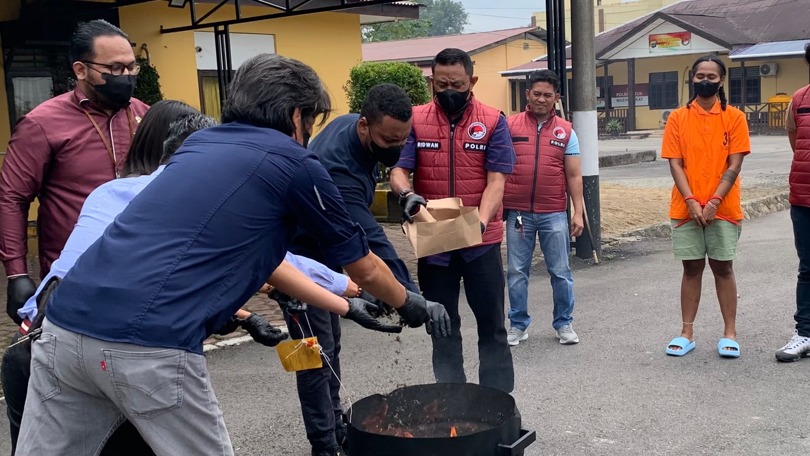 Tegaskan Komitmen Perangi Narkoba, Polres Mimika Musnahkan 161,37 Gram Ganja