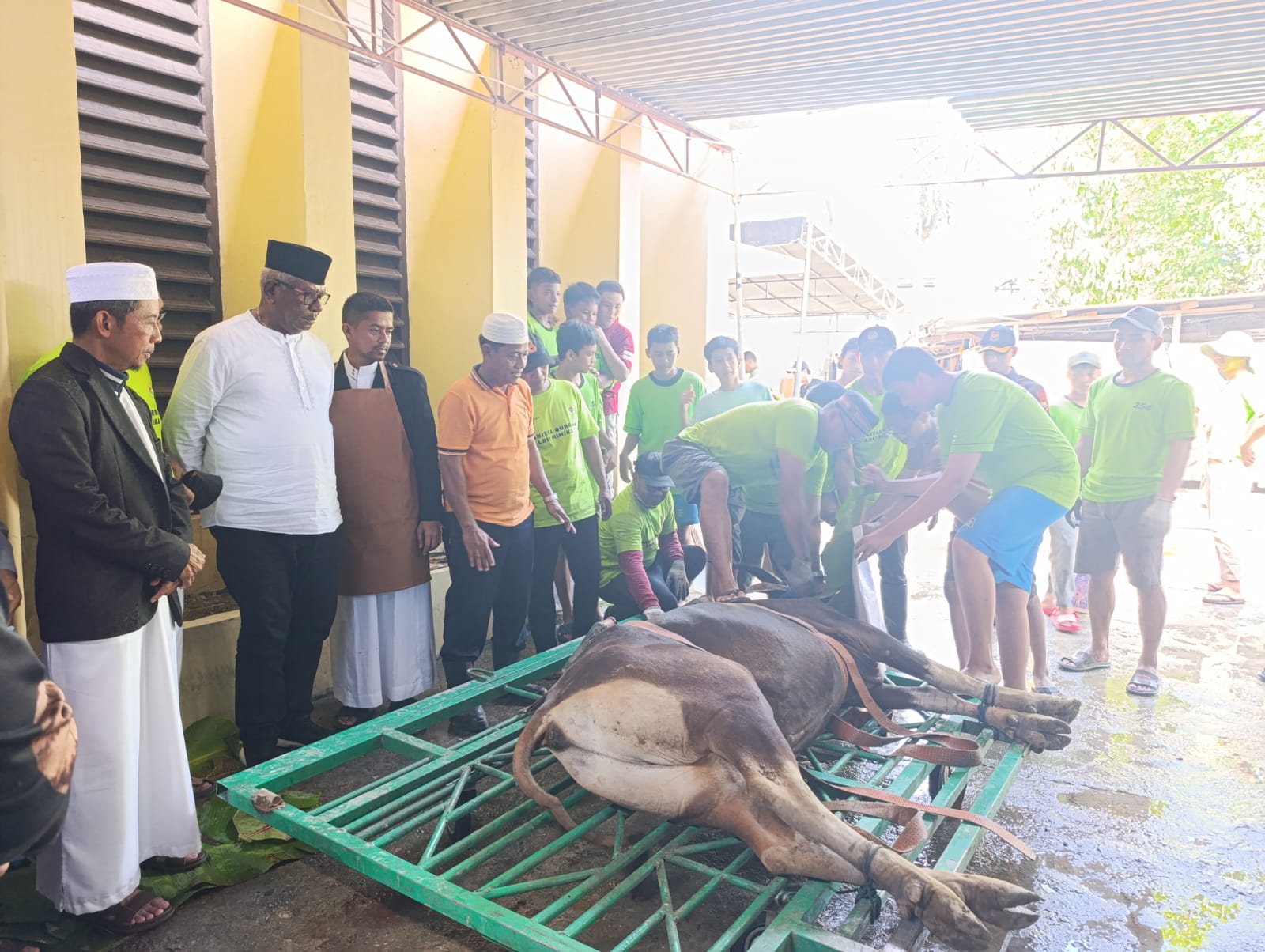 Bupati Mimika Pantau Pemotongan Hewan Kurban di Masjid LDII Muhamadiyah
